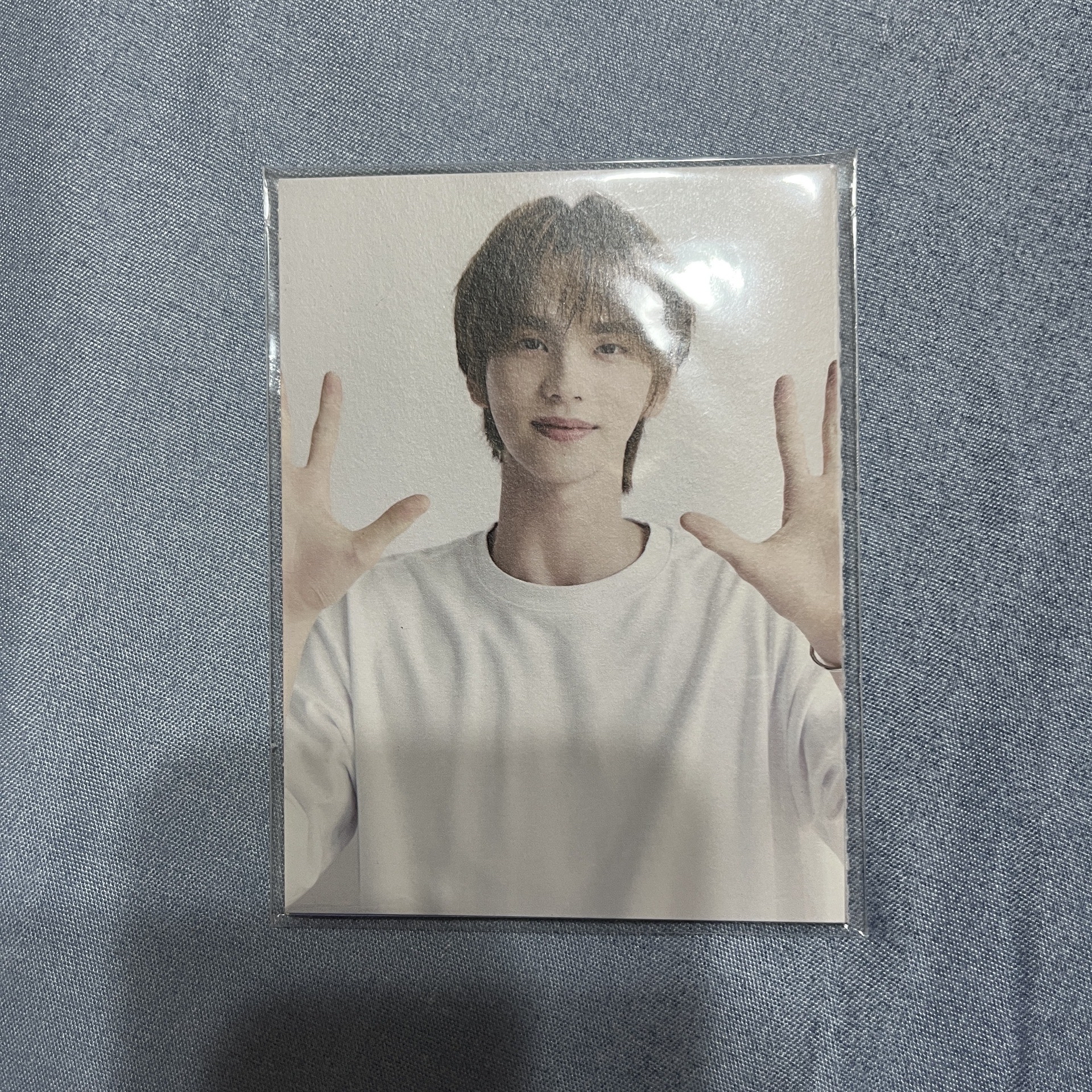 TWS 2025 DECO KIT wvs特典 小折頁