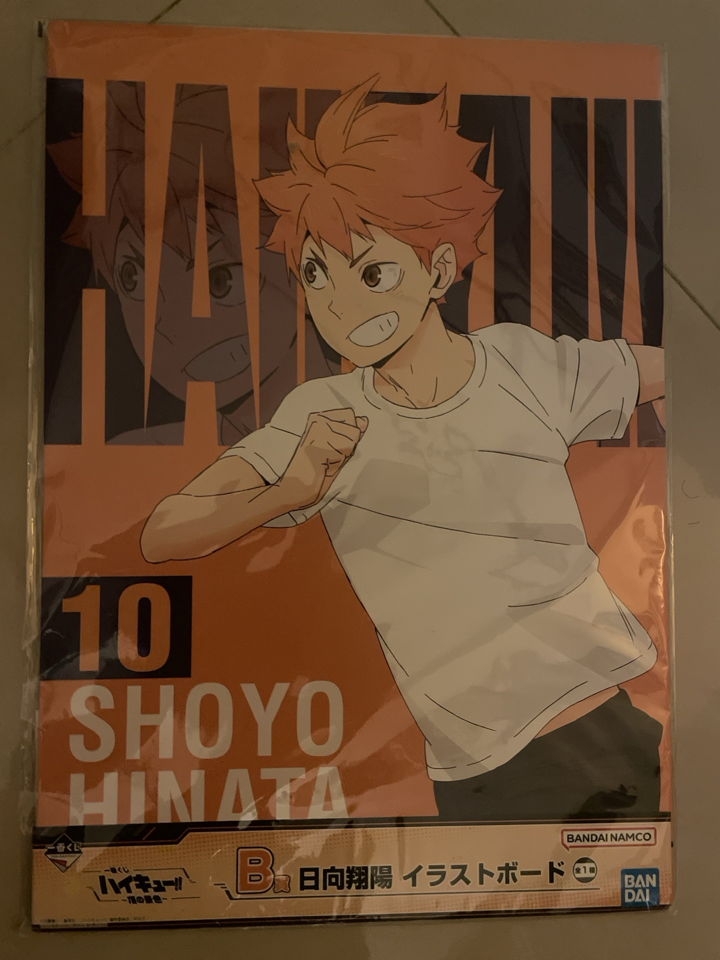 排球少年 一番賞  B賞 日向翔陽 插畫板