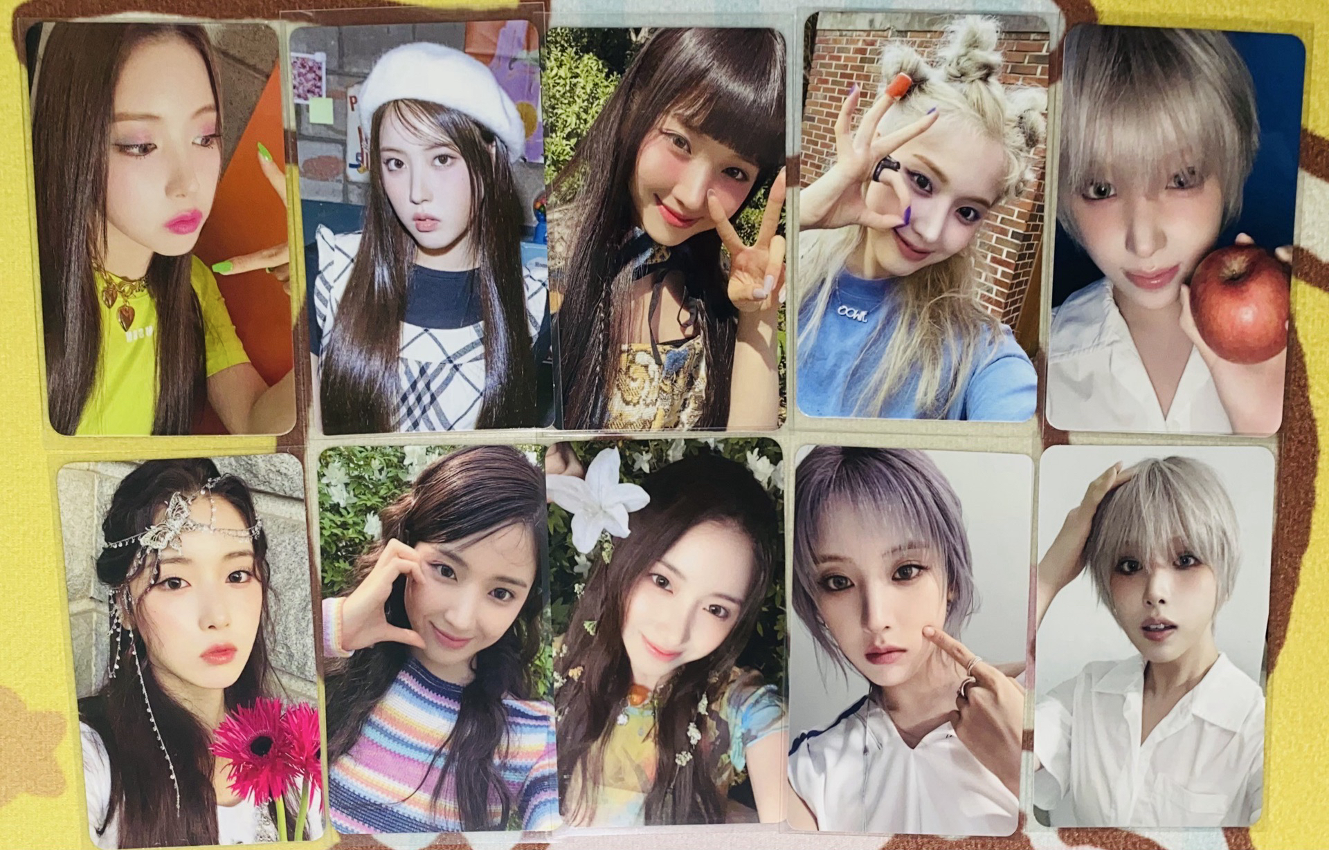 NMIXX小卡 專區🐨🐻‍❄️🐰🐤🐶🐱