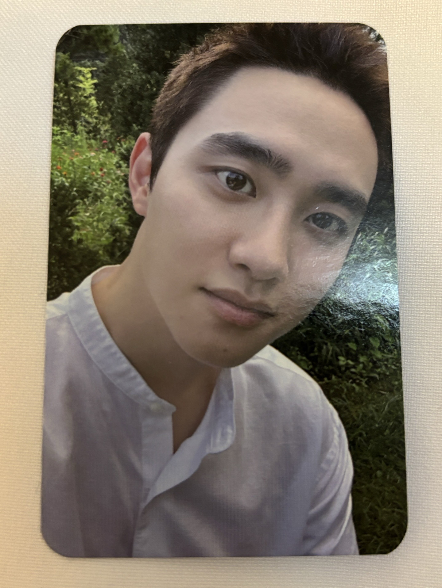 都敬秀（D.O.) BLOOM 安可 周邊卡