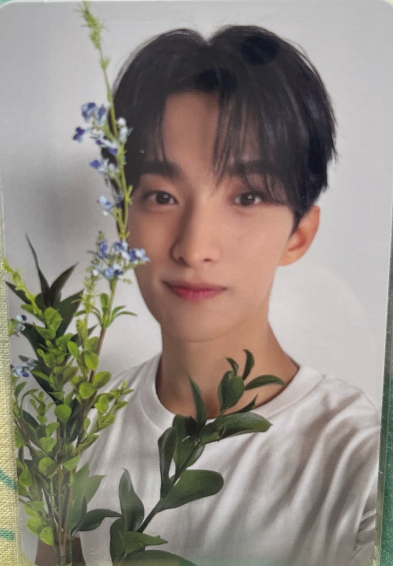 SEVENTEEN  IS RIGHT HERE DEAR 