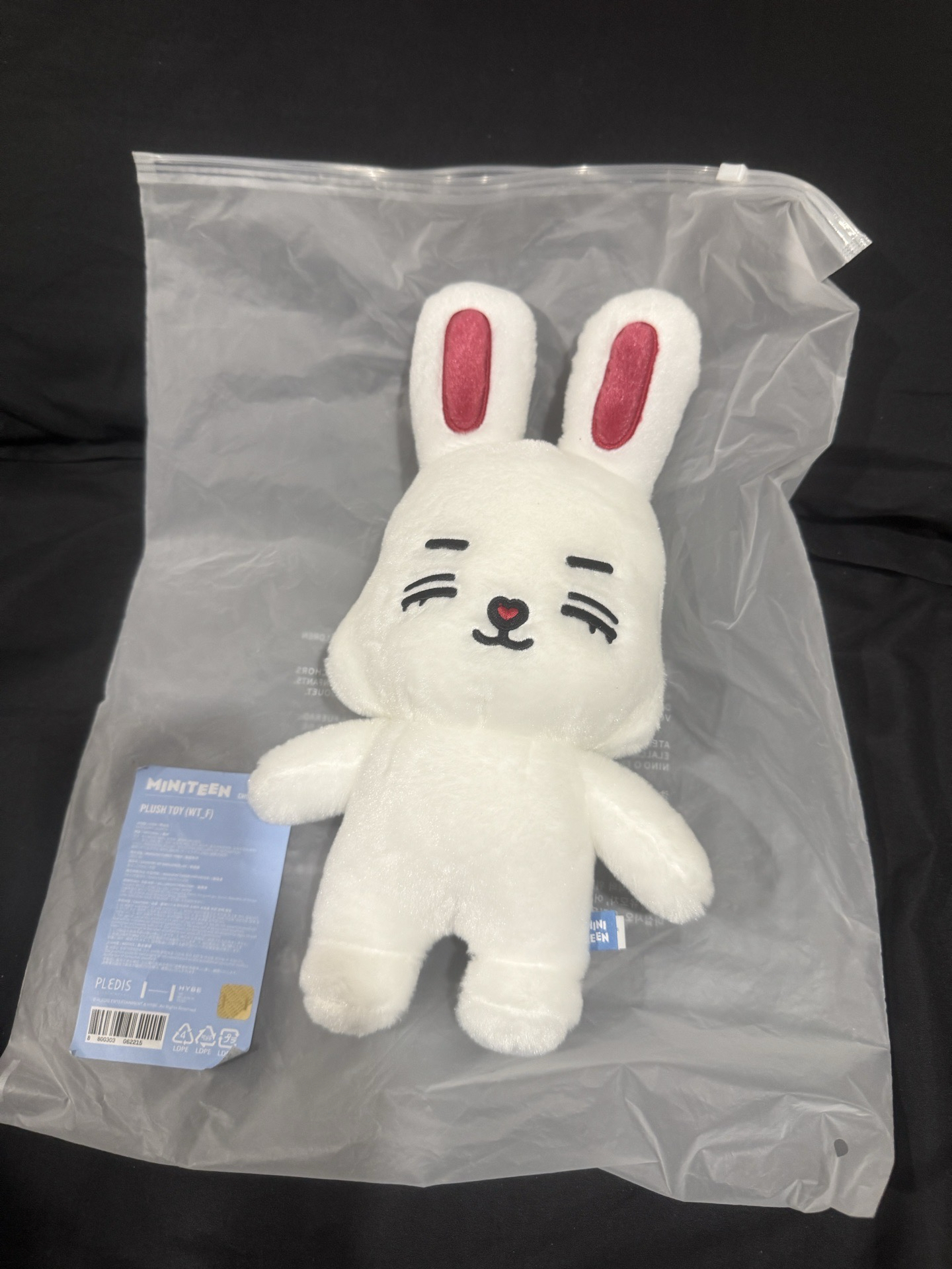 seventeen 哲 站娃