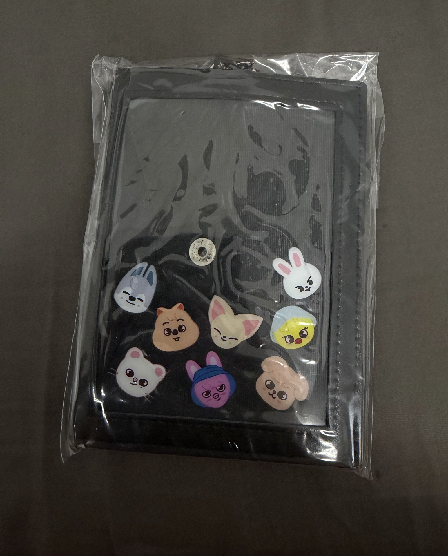 1st 日本巨蛋巡迴 卡套 (組) 立牌套