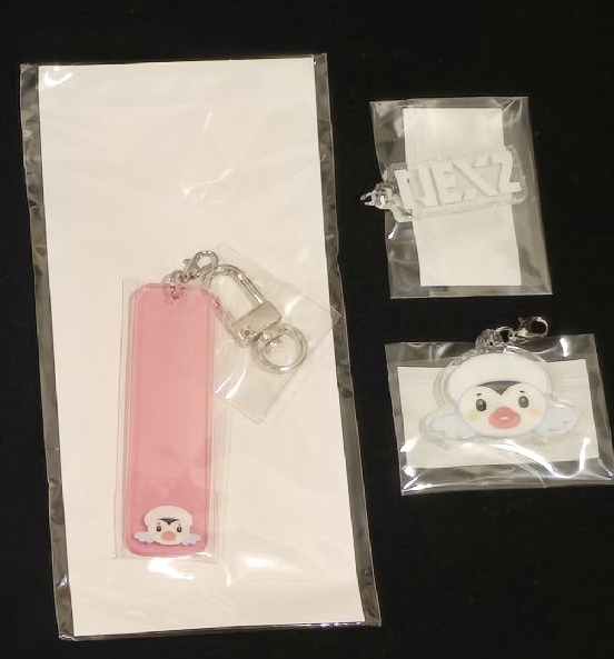 Nexz2025 冬季線下限定 一套 鑰匙圈