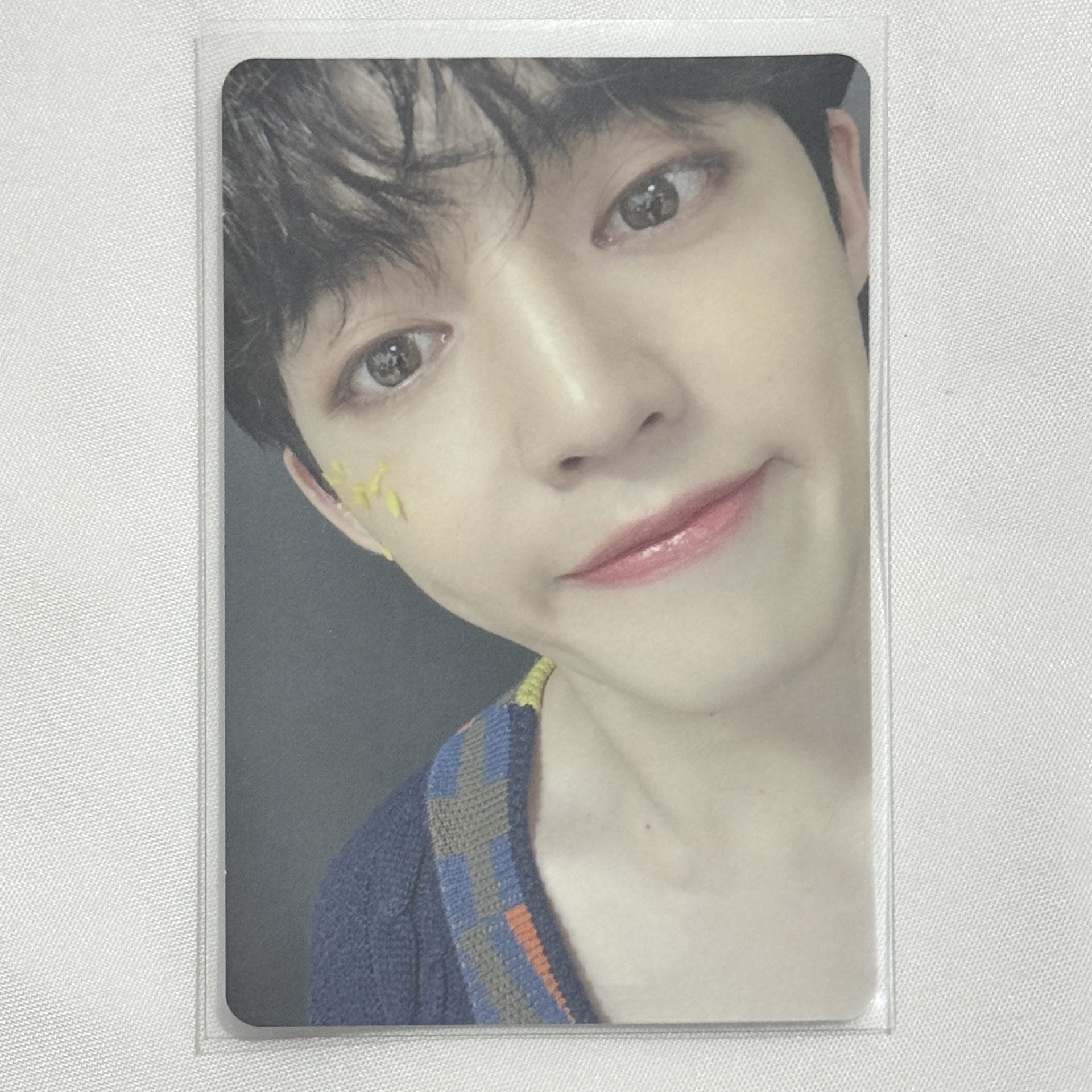 崔勝哲 Fallin' Flower 落花 C盤