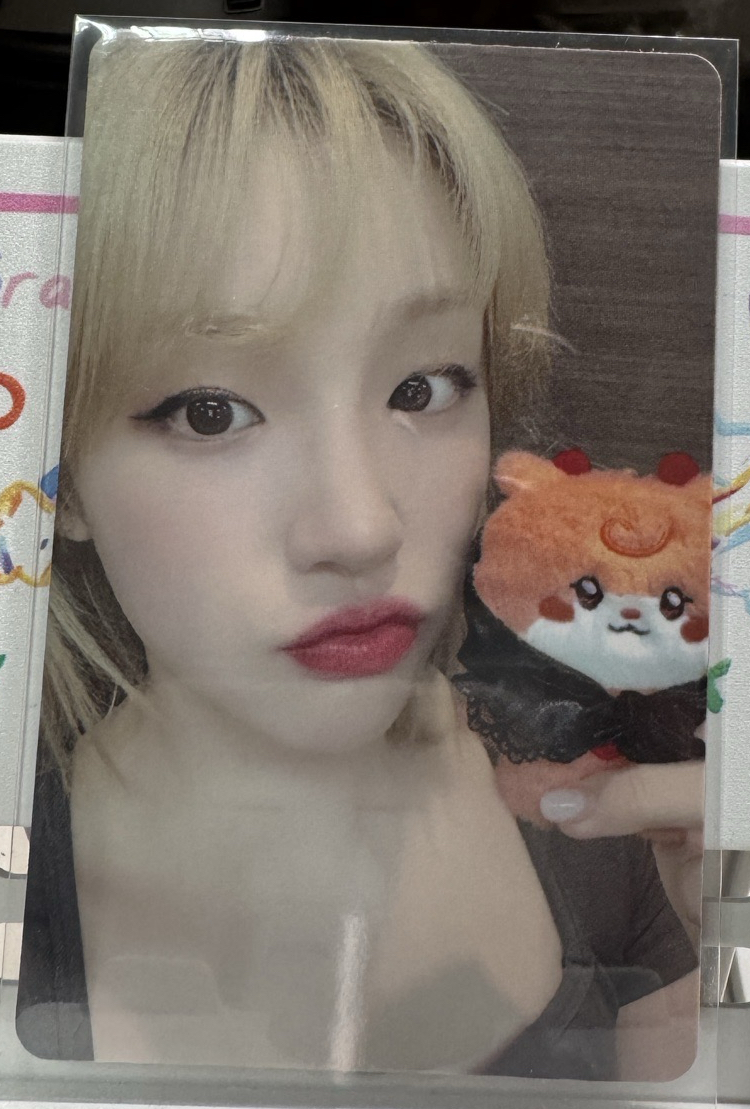 拿娃卡（需🟢或🟡多帶區多帶1張）