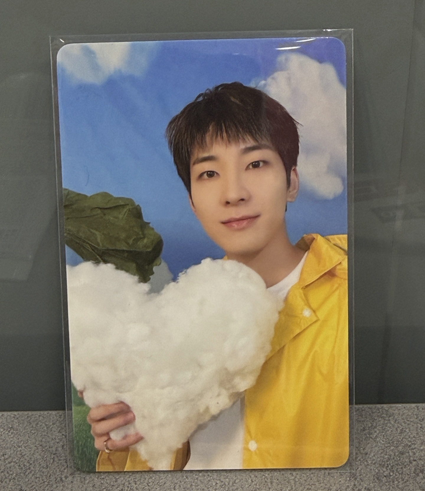 SEVENTEEN 迷11 專卡 圓佑