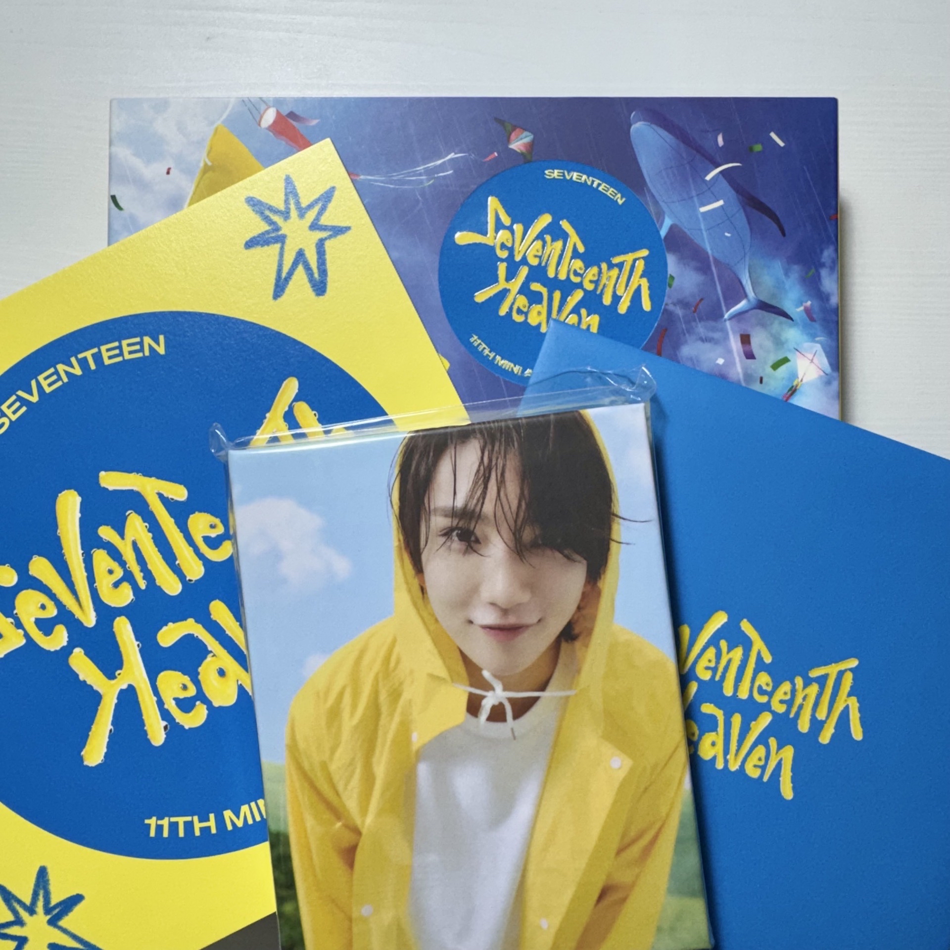 MINI11 克拉盤 秀封