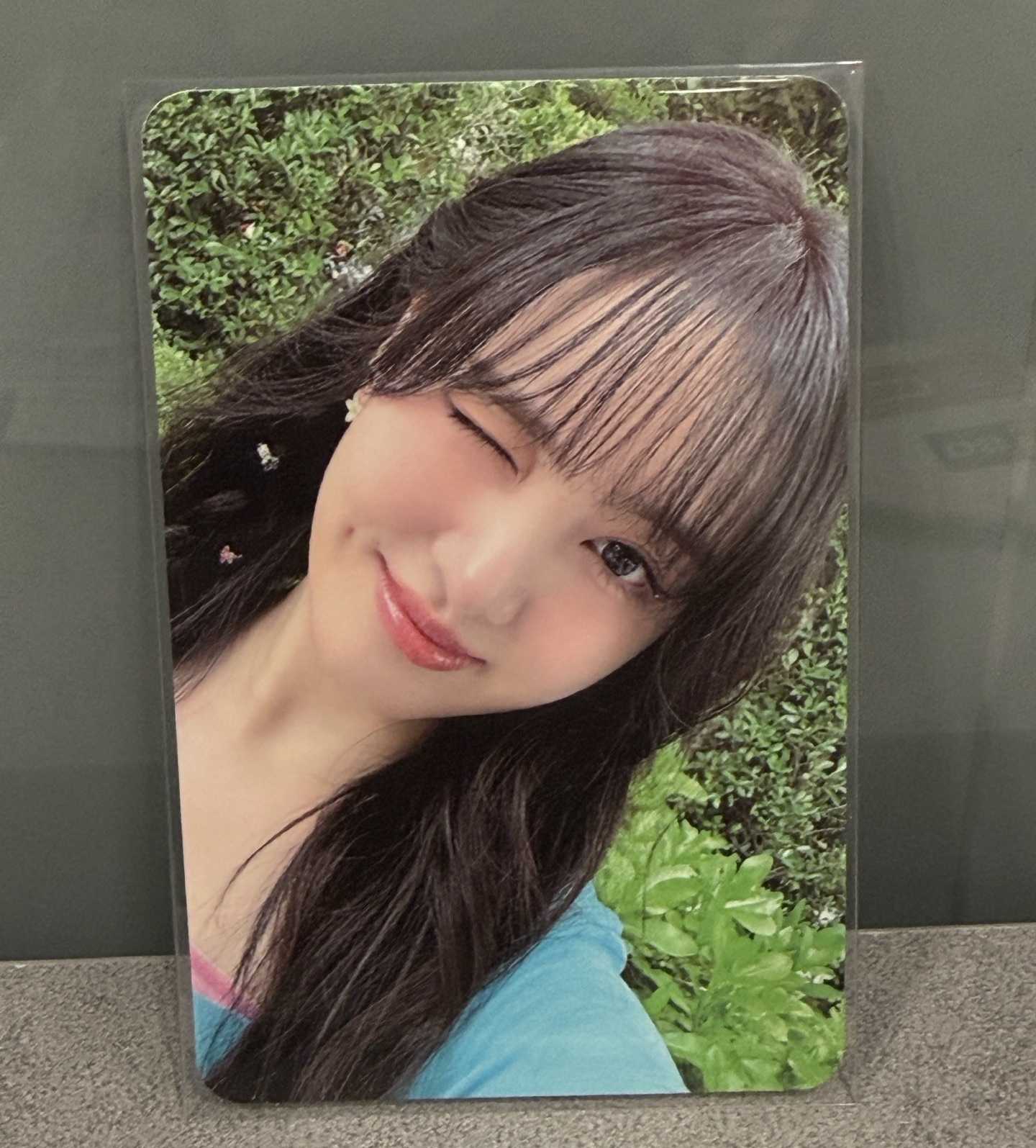 夏日寫真 周邊卡 固配卡