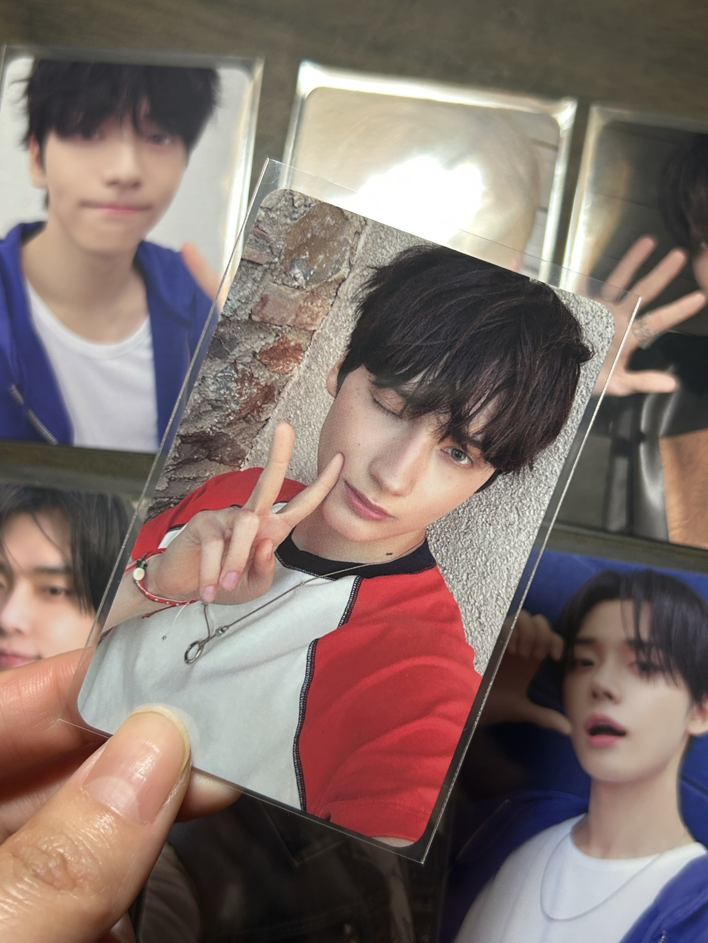 休寧凱 愛語專卡 一套