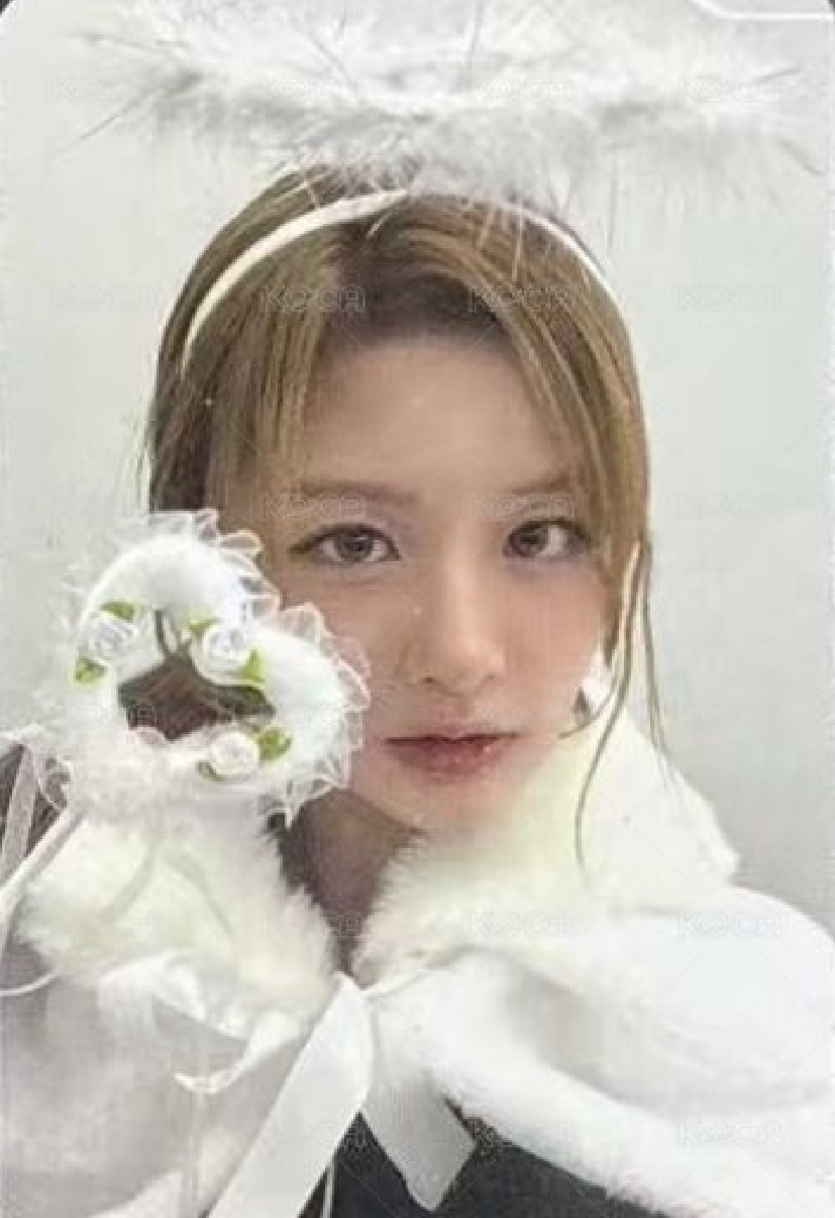 正規一 am 6.0 簽售卡 天使惡魔 ver.✅