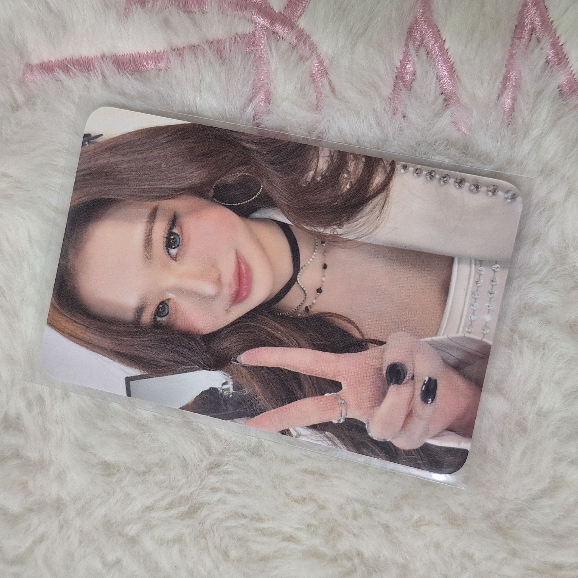 白蘭地圓*有損（在圖二、圖三）