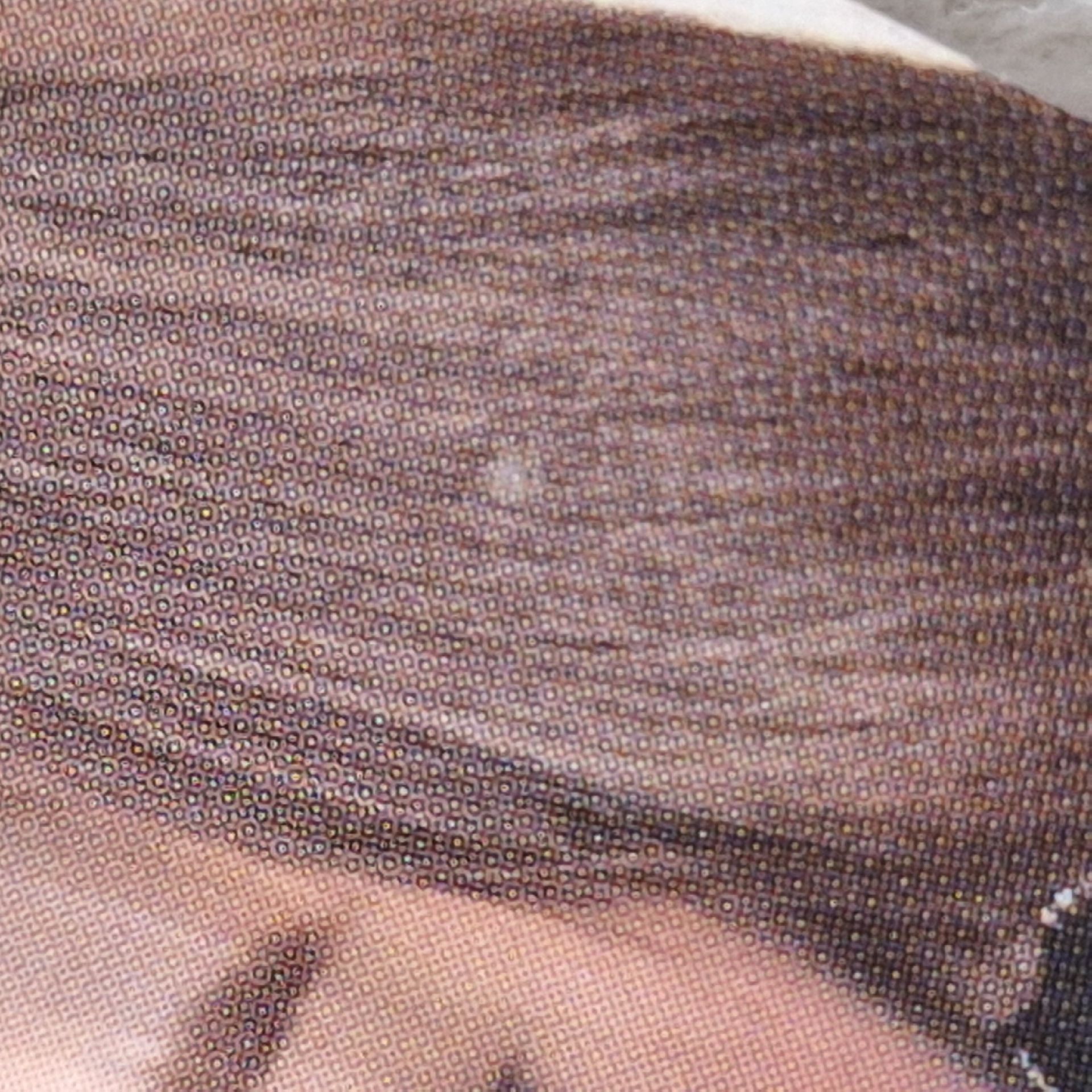 白蘭地圓*有損（在圖二、圖三）