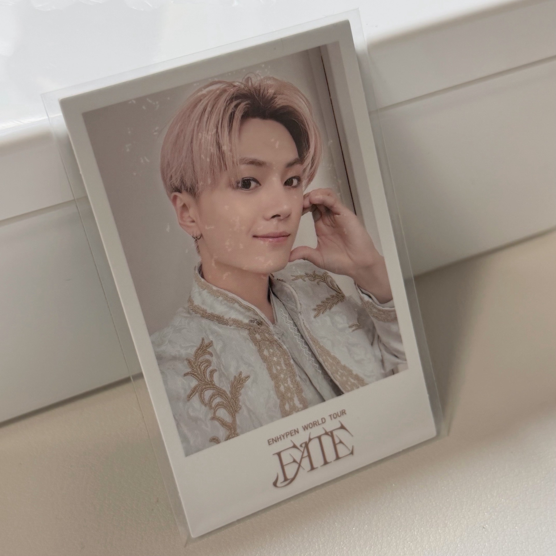 綜星𝖥𝖠𝖳𝖤回憶錄特典拍立得