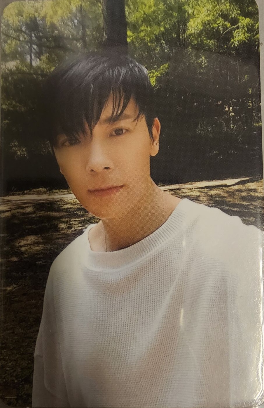 SUPER JUNIOR 正規九 東海 專卡