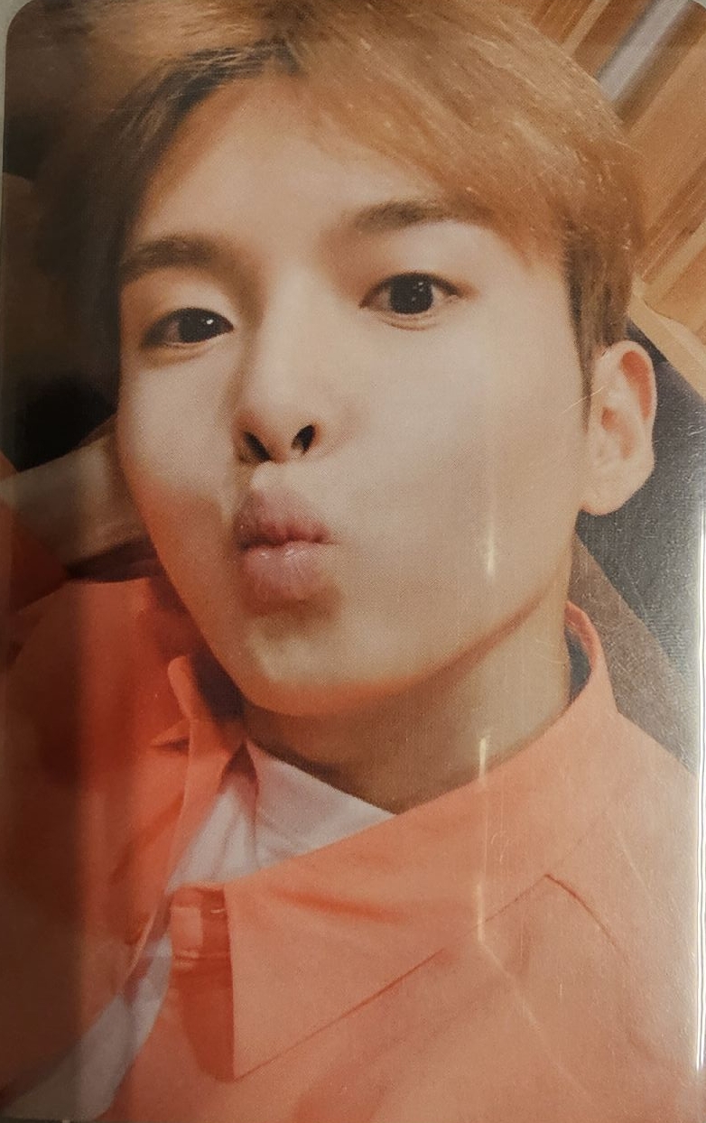 SUPER JUNIOR 正規九 厲旭 專卡