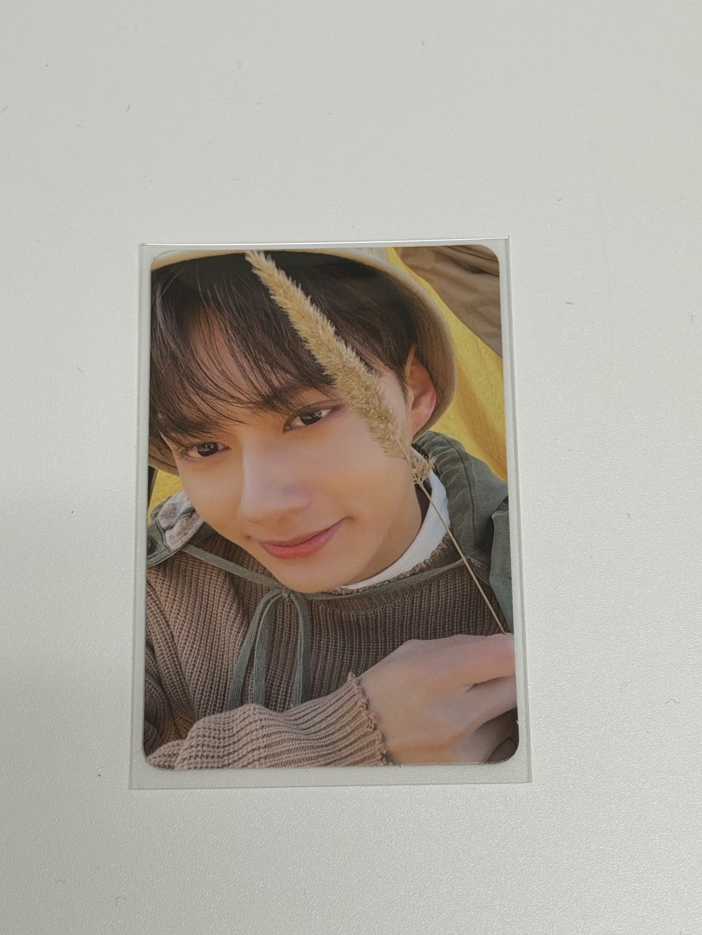 正四 專輯卡 Ep4 ver.