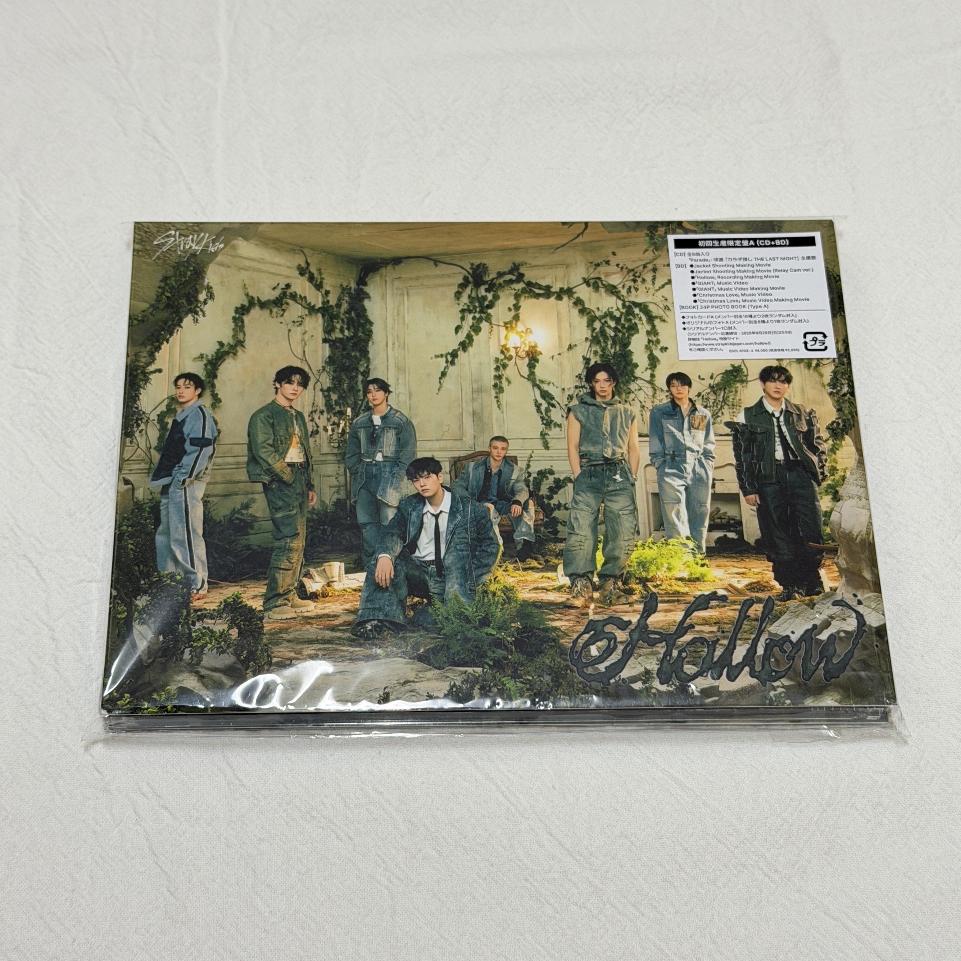 Hollow期間限定A盤(空專)