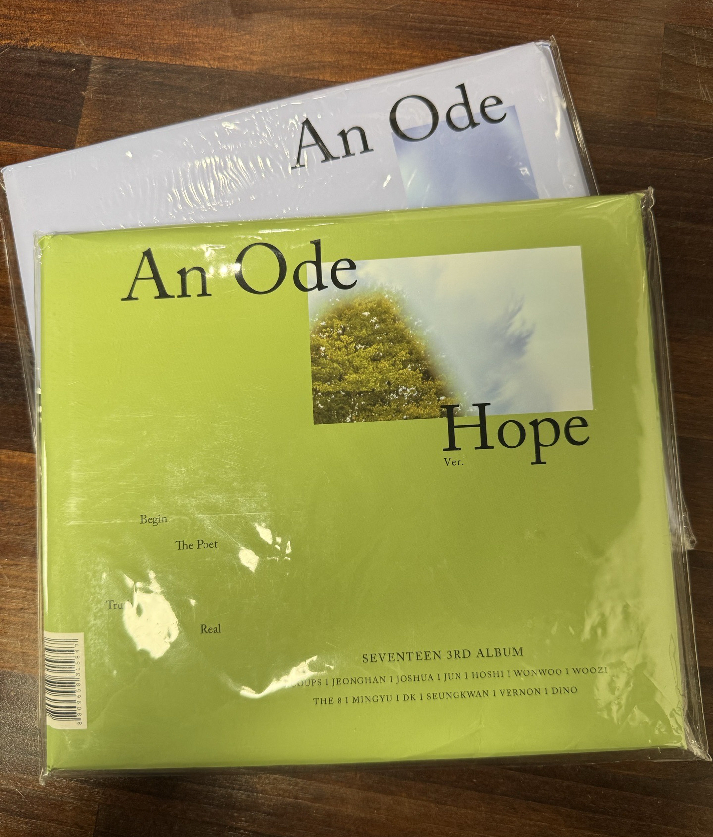 11（綠版含圓佑小寫真）