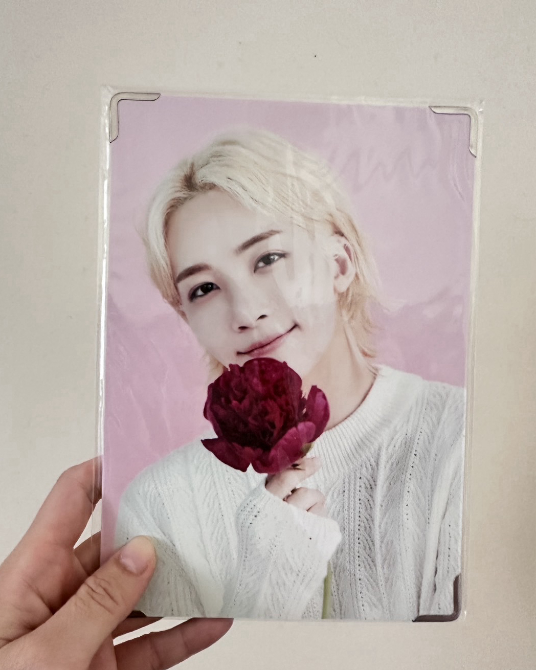 淨漢 咖啡廳相框 拿玫瑰🌹