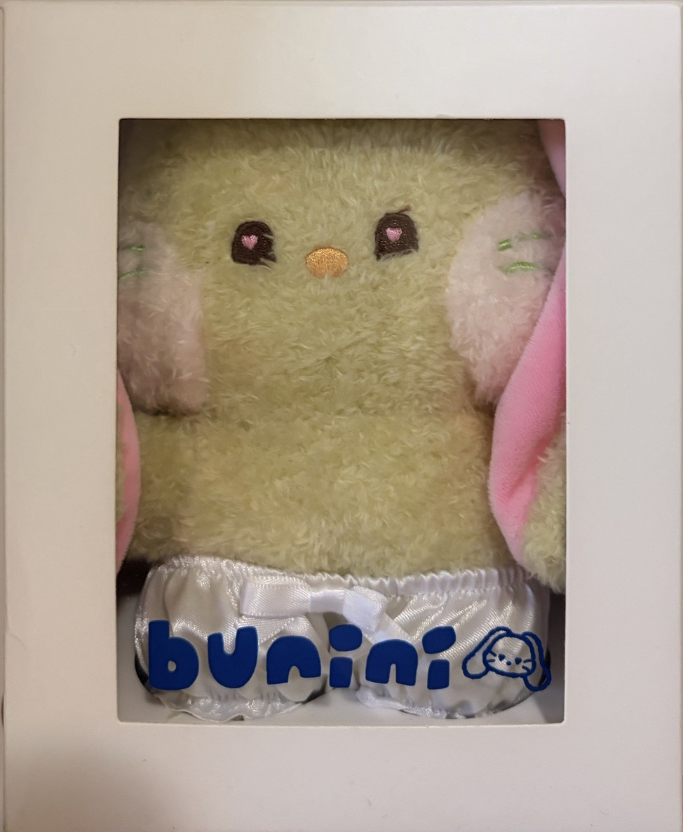 LINE FRIENDS快閃 娃娃玩偶 換裝 bunini