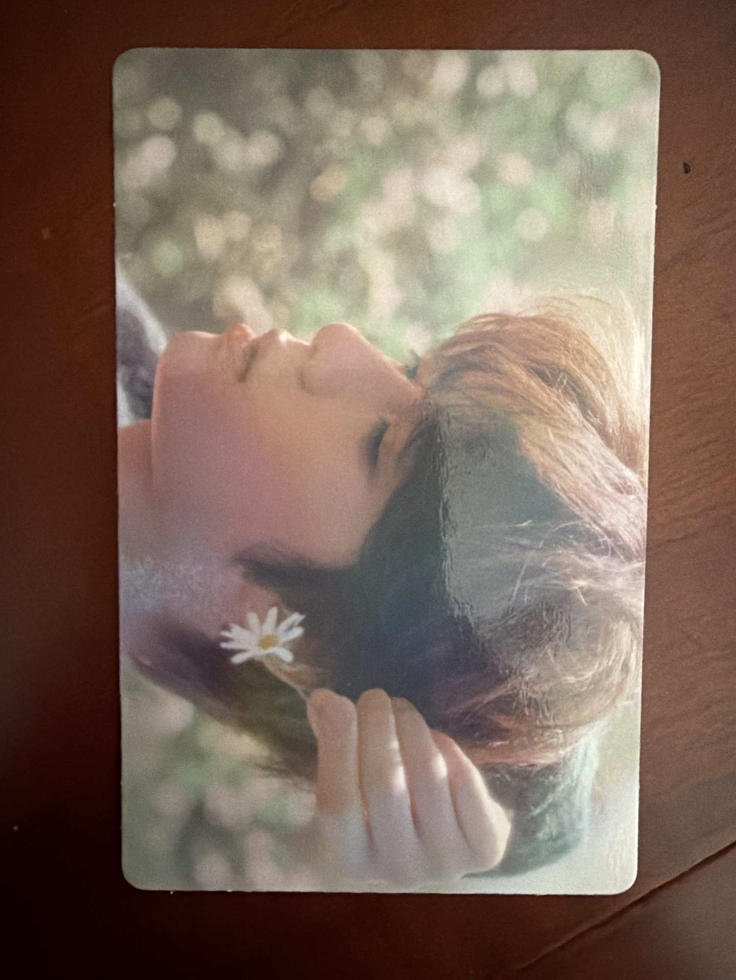 杋圭 迷五 wvs PB版 特典卡 