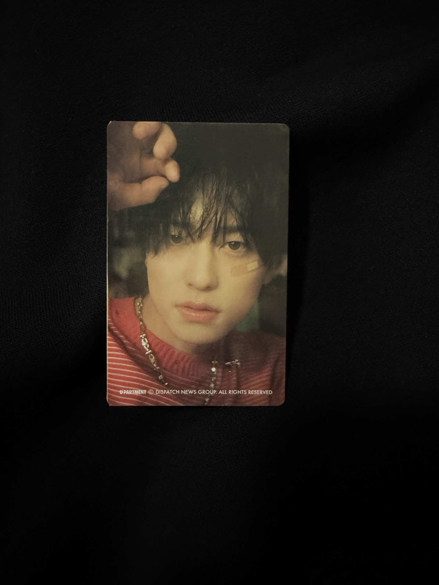 D社 隨機卡 B版 🐣