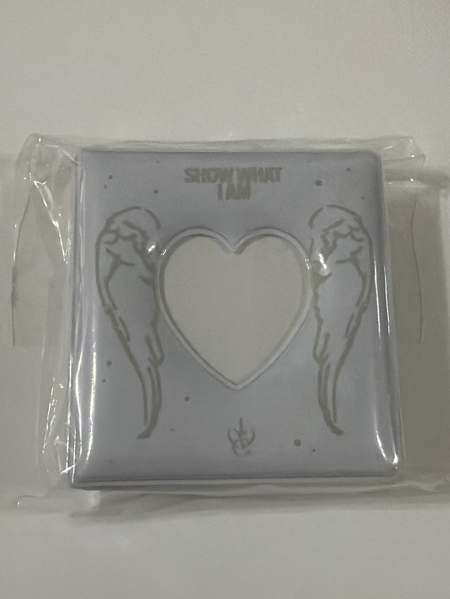 SHOW WHAT I AM 卡冊 演唱會周邊 卡冊證件照組