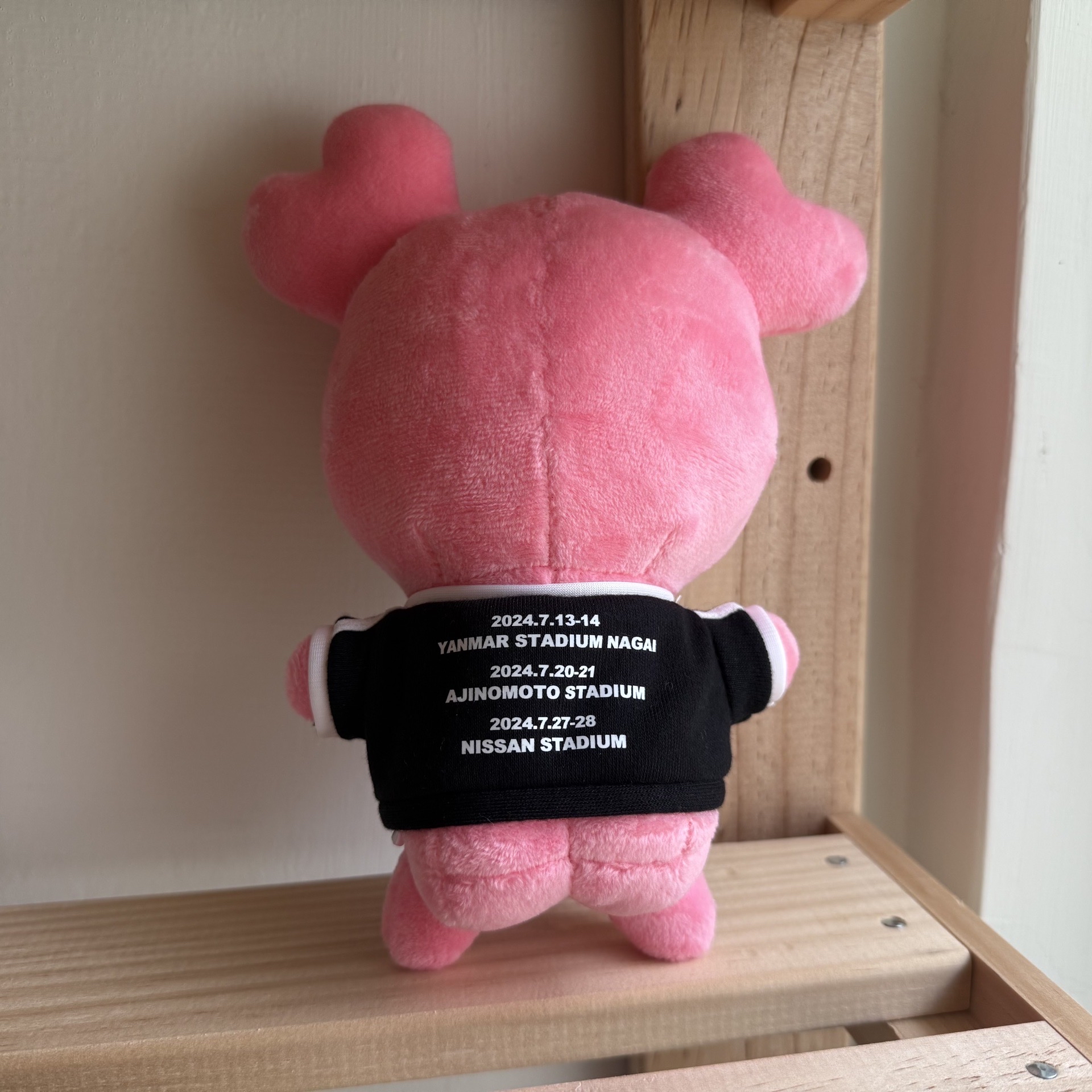 TWICE LOVELYS RTB 大娃