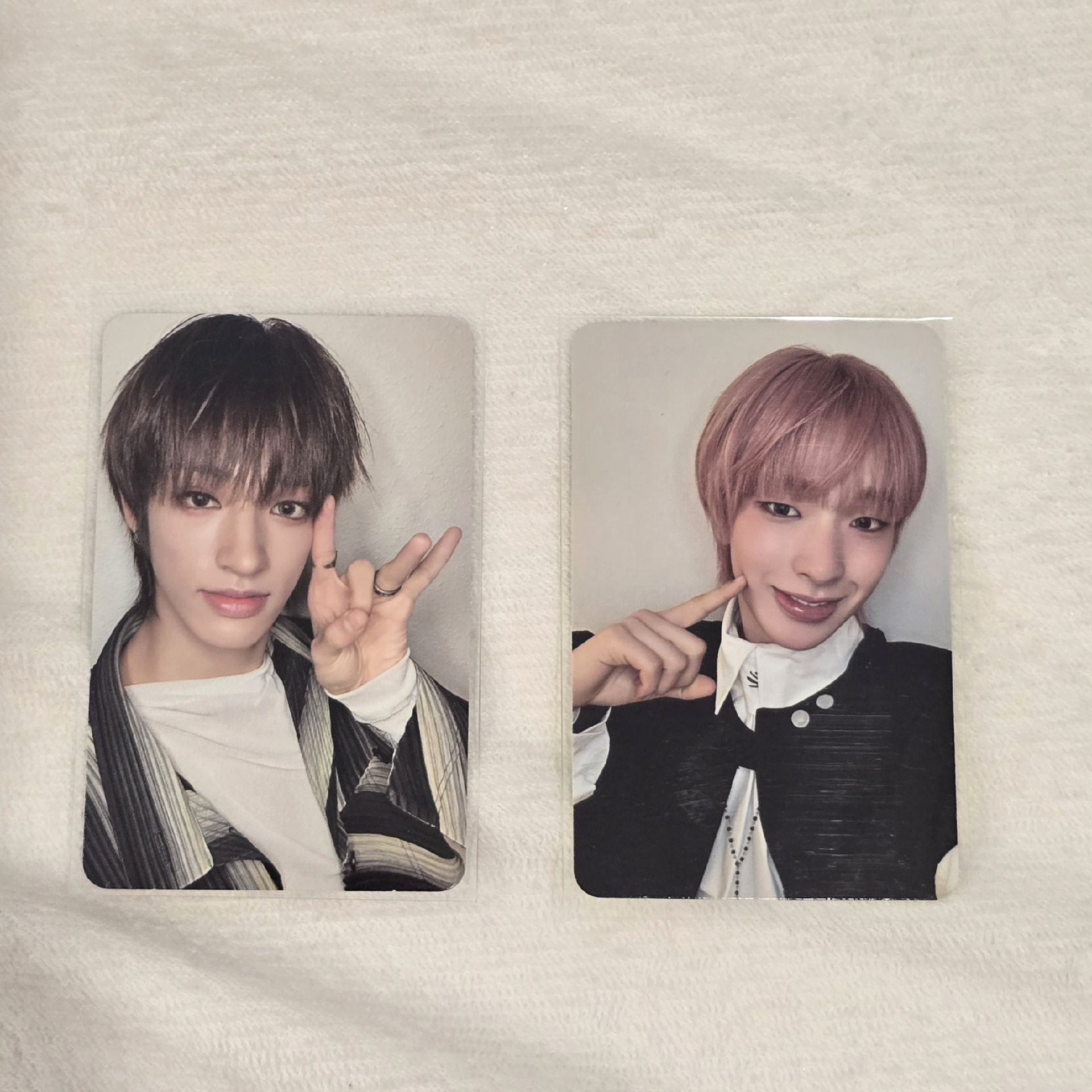 ⭐️ 🐧🦌orly專卡