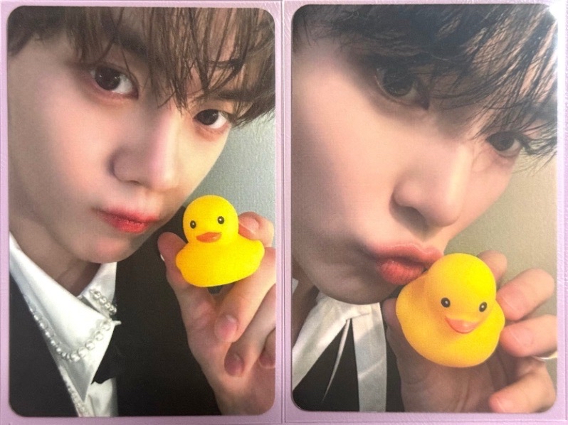 迷五AM鴨子金奎彬