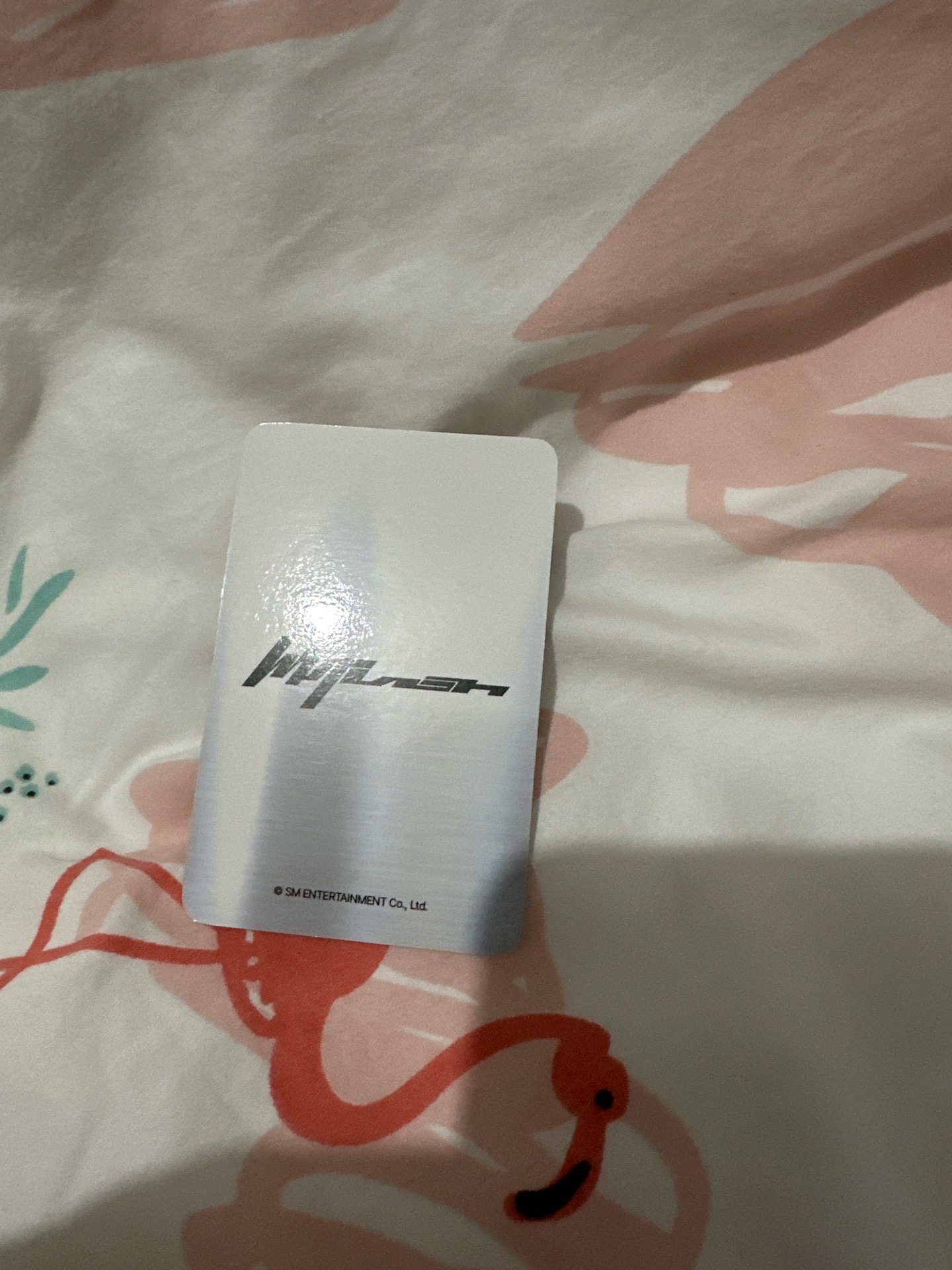 whiplash DMM簽售 吉