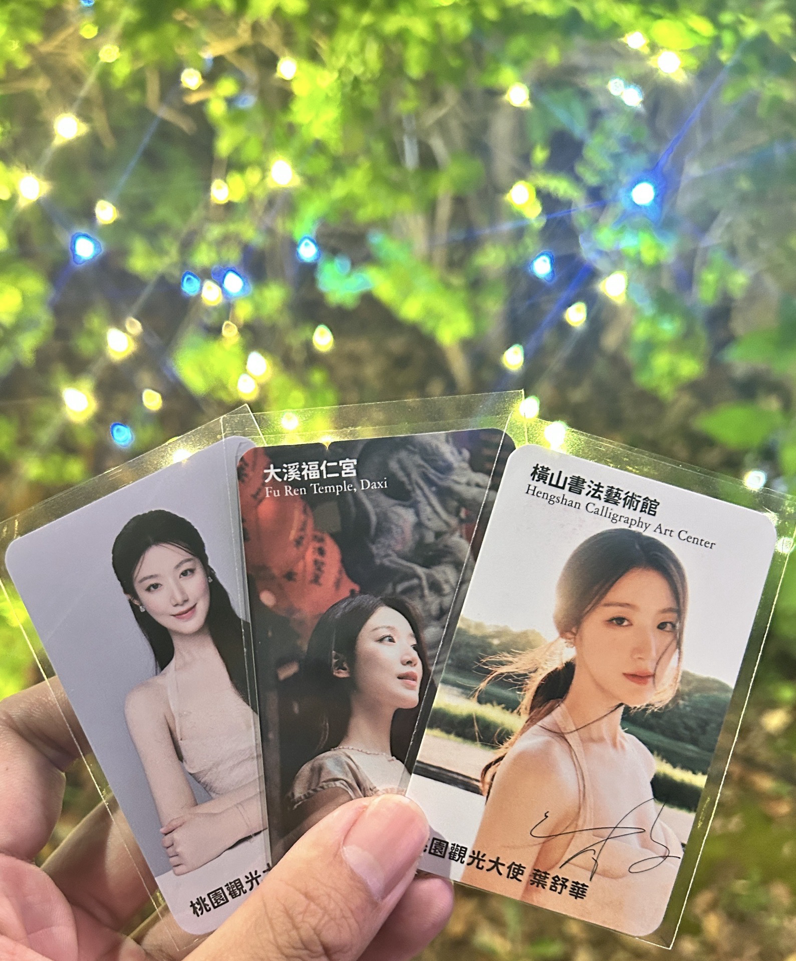 桃園大使-舒華小卡 燈會7張+第二版遊客中心3張