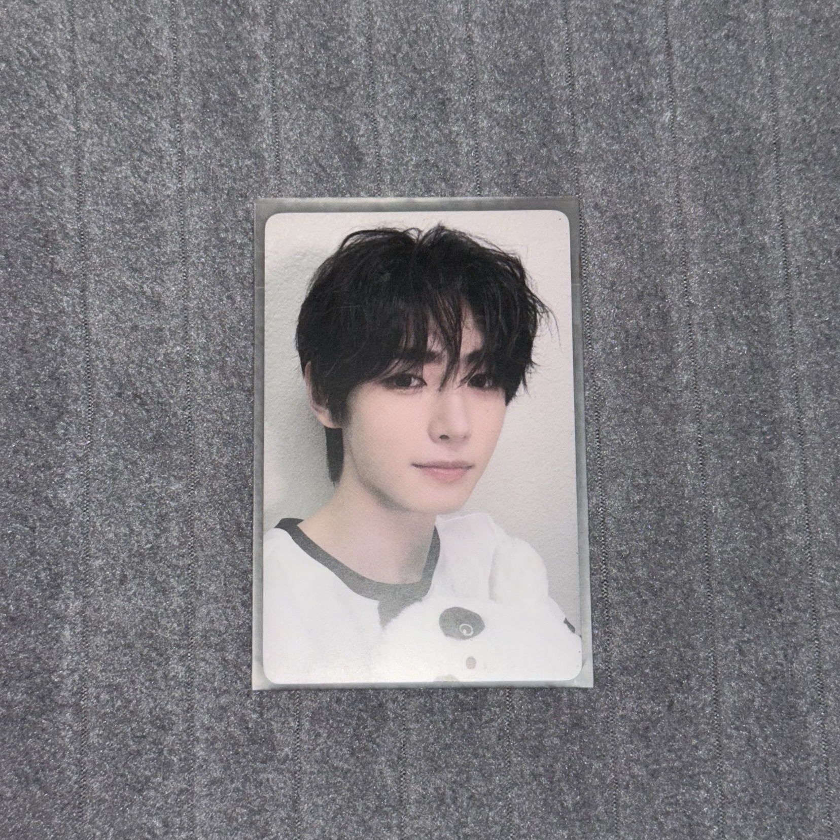 ENHYPEN 成訓 正二 yzy 3.0 特典卡 熊貓