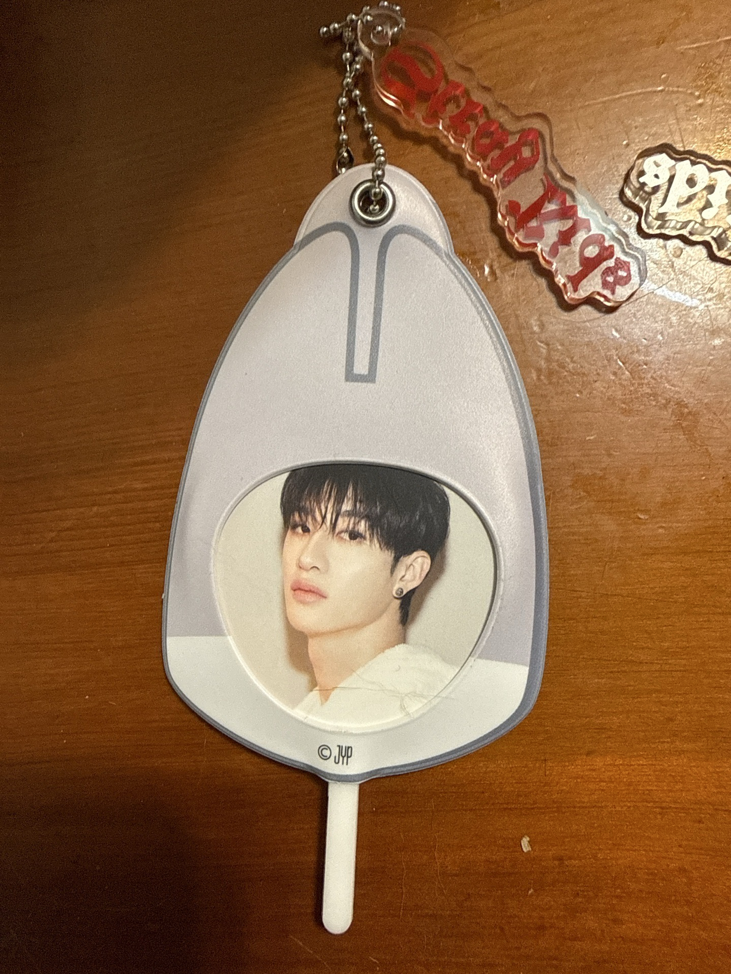 可以給貓咪玩的扇子