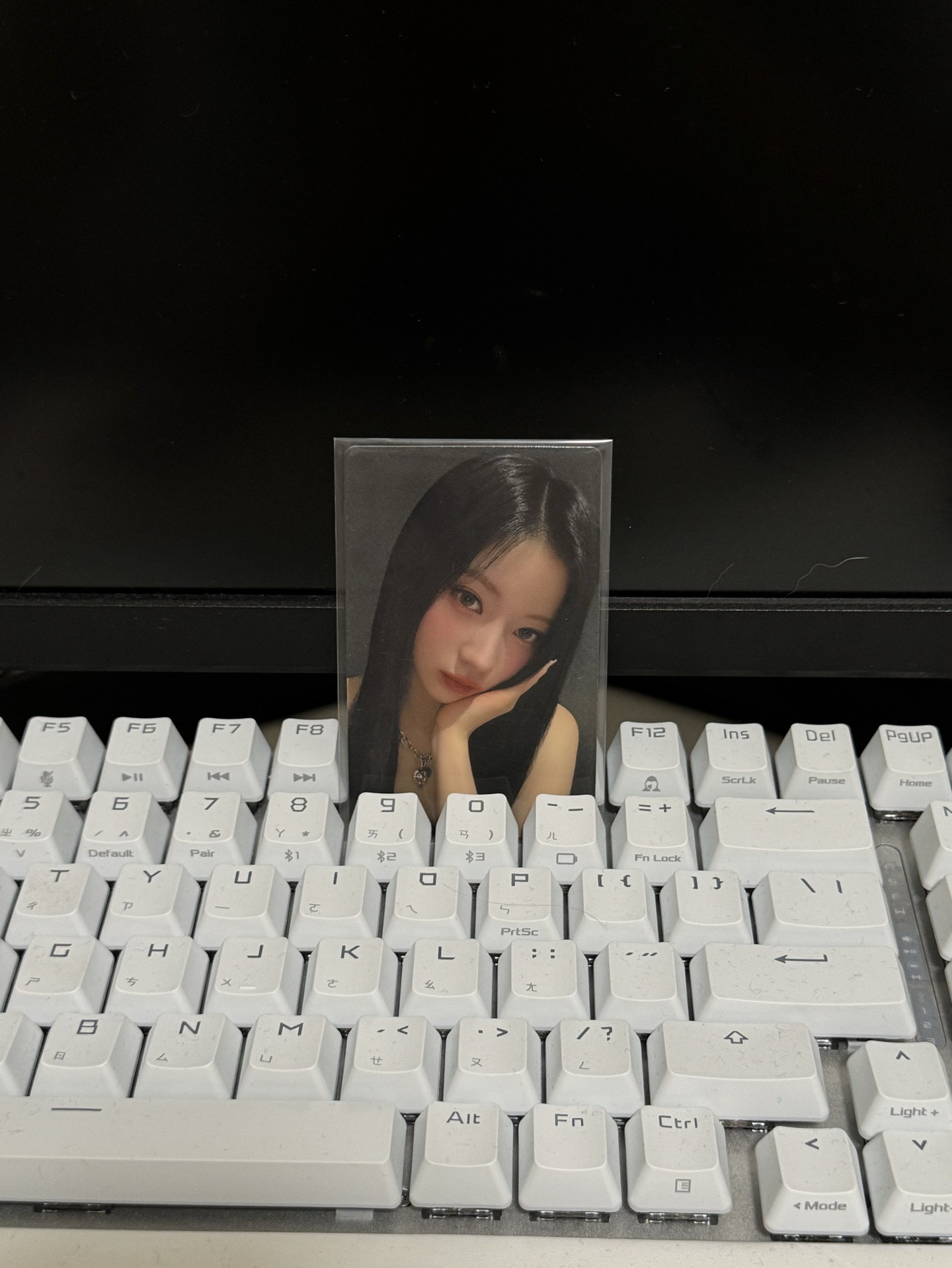 日本快閃店隨機卡/ASA🐰