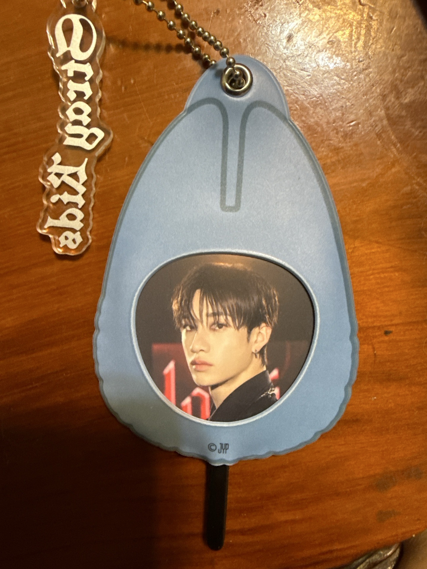 貓貓很喜歡的小扇子