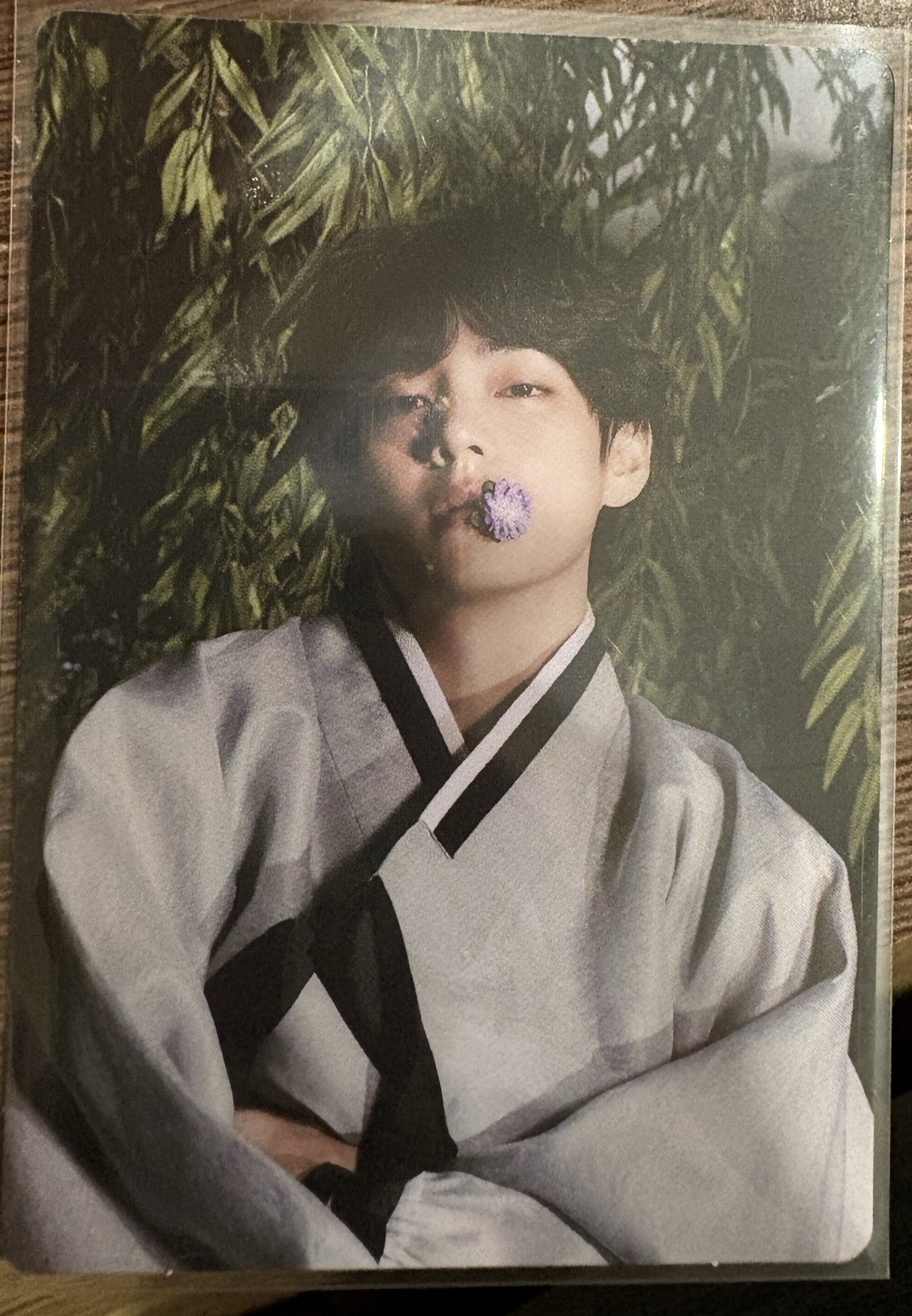 泰亨 2022中秋隨機卡2/6