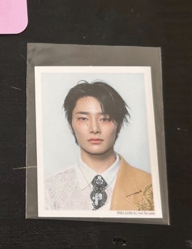 Hollow b盤證件照 寅