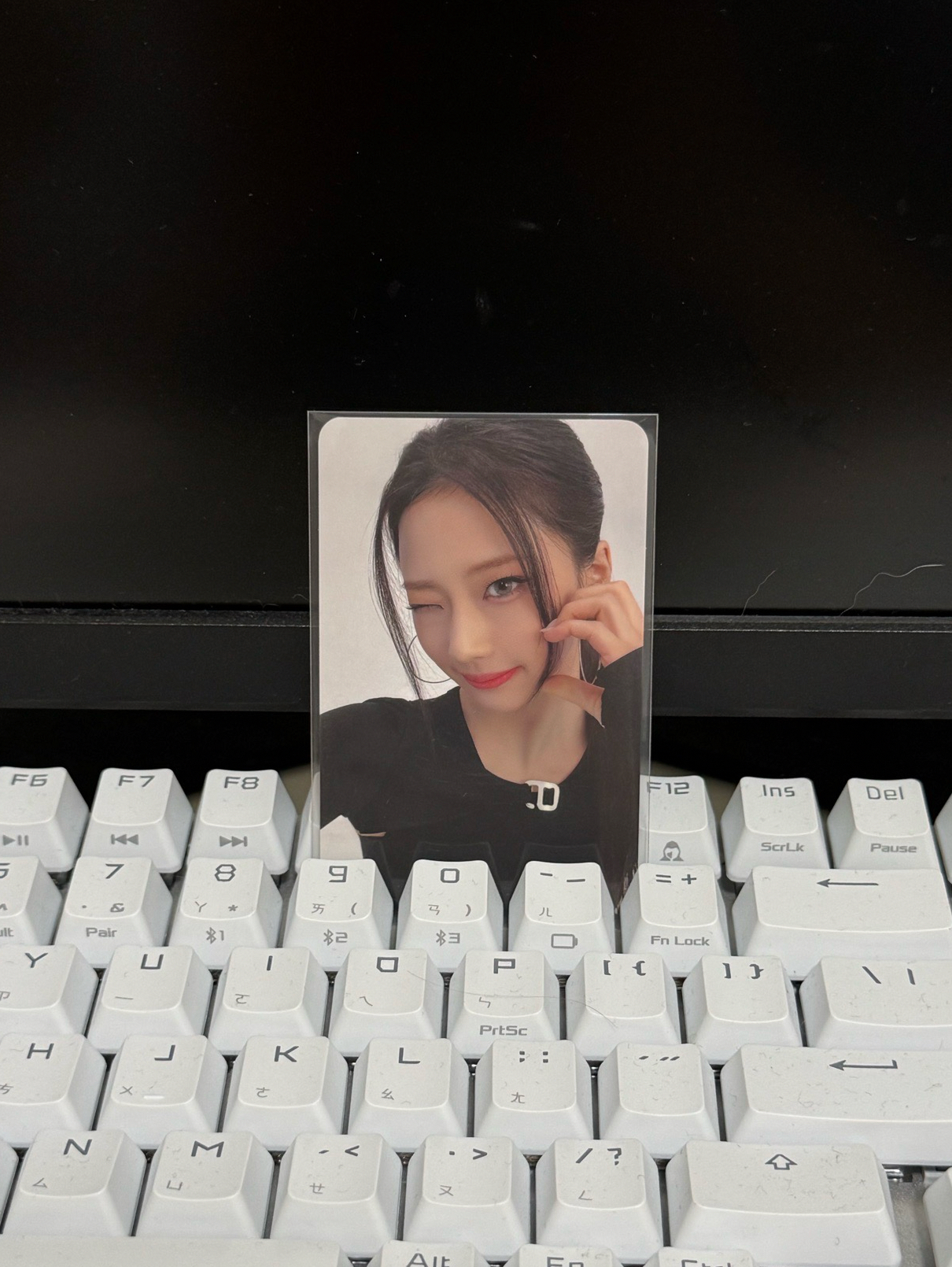 亞巡滿額/RUKA🦥