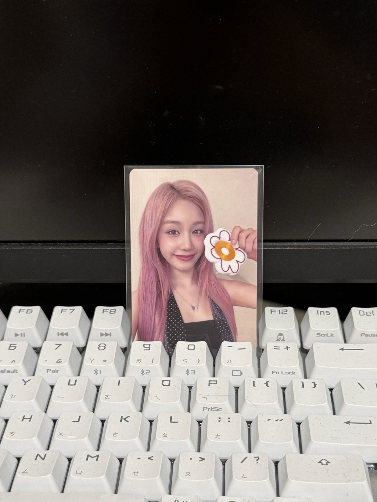 THANKS MONSTIEZ 2026快閃店A ver/PHARITA🦌