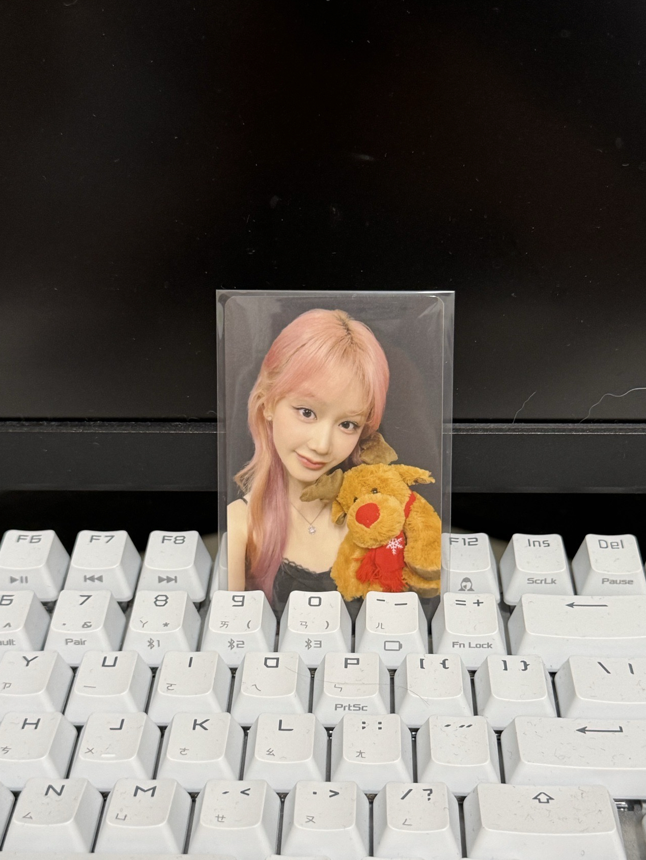 聖誕隨機卡B ver./PHARITA🦌