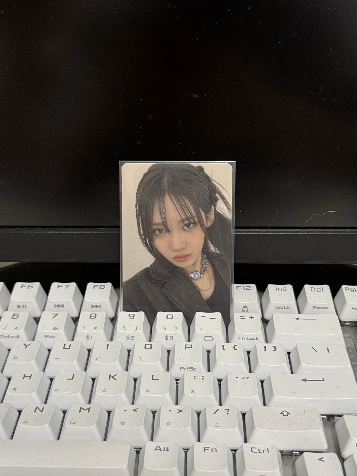 首爾場週隨機/RORA🐼