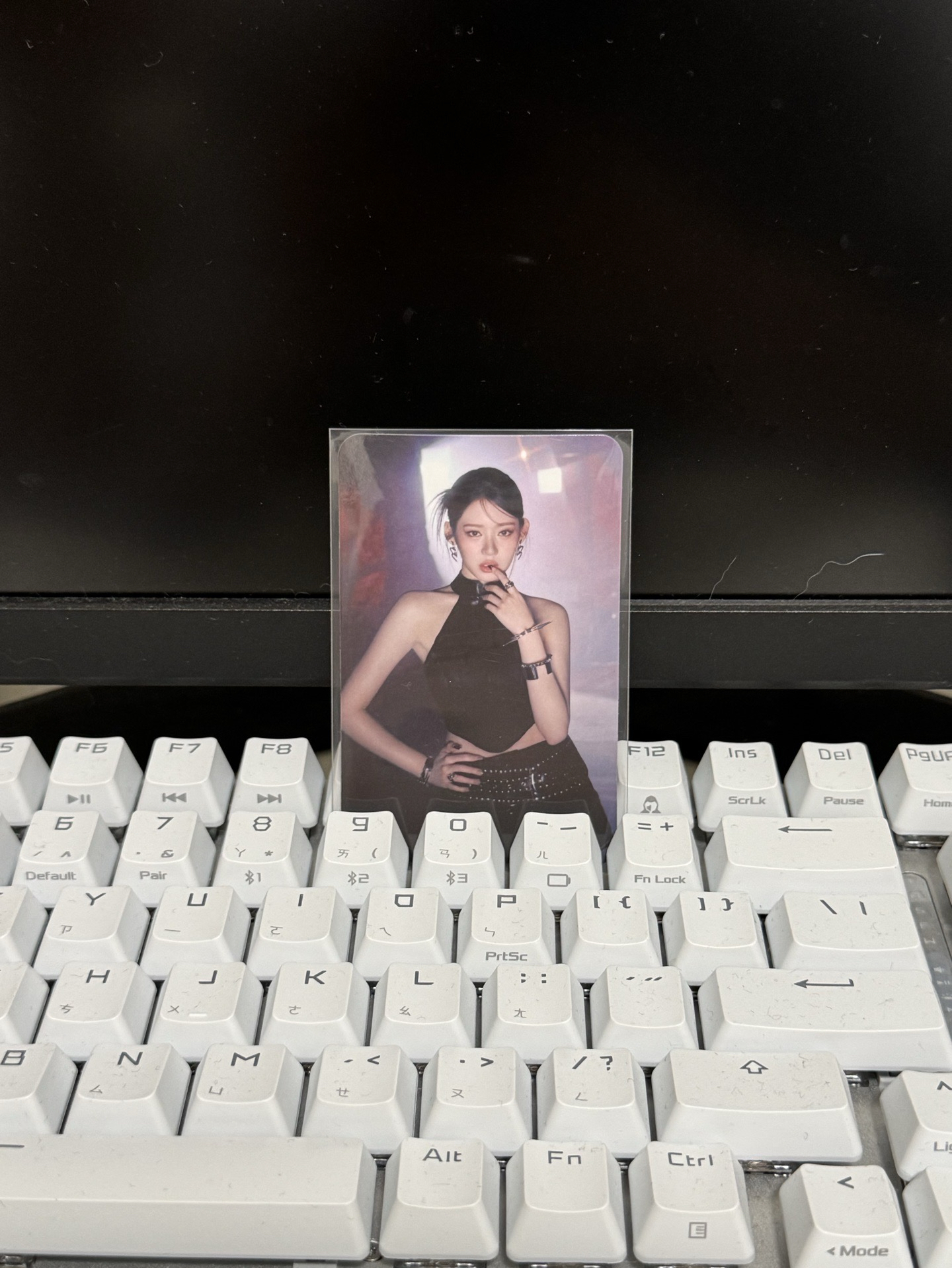 微樂客特典/RORA🐼