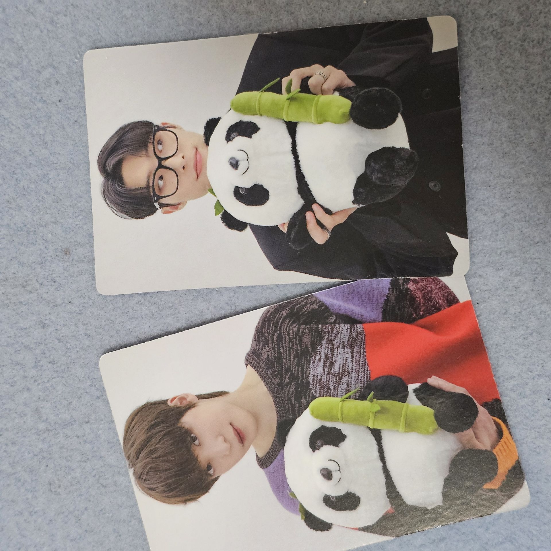 潤浩玟琦｜熊貓～～～