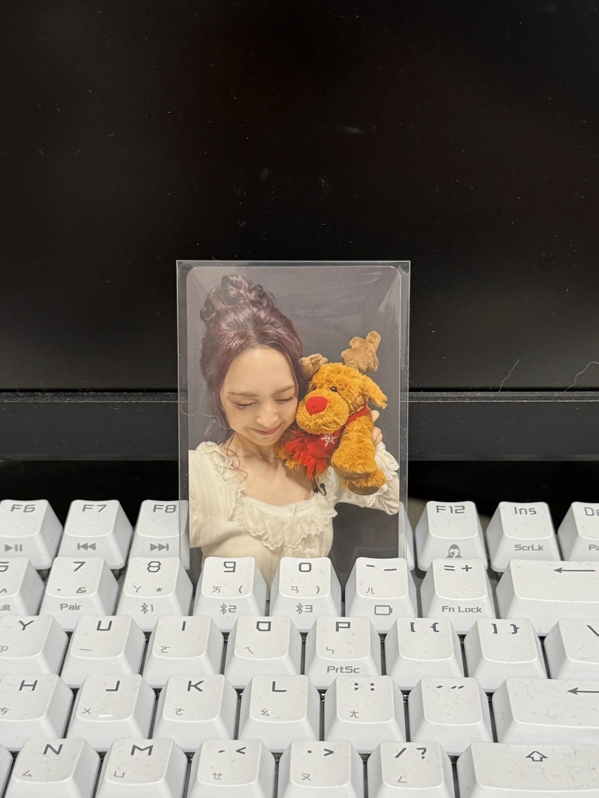 日本聖誕隨機B ver./CHIQUITA🐈‍⬛