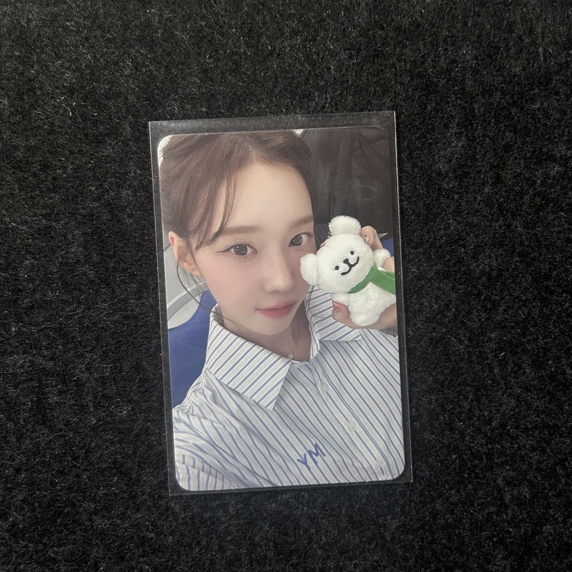 aespa Drama 線條小狗冬