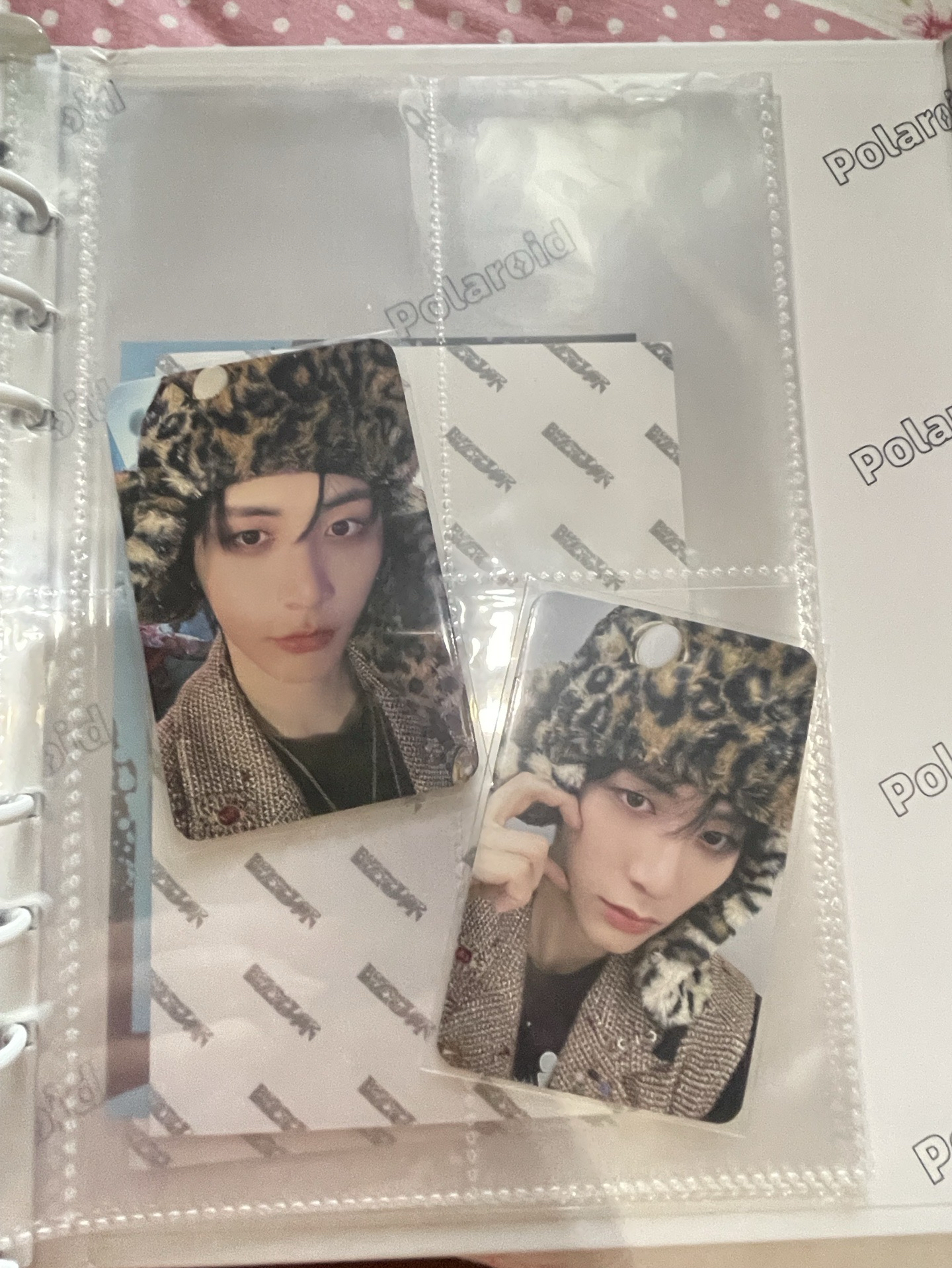 Taesan 特典卡 Why dmm