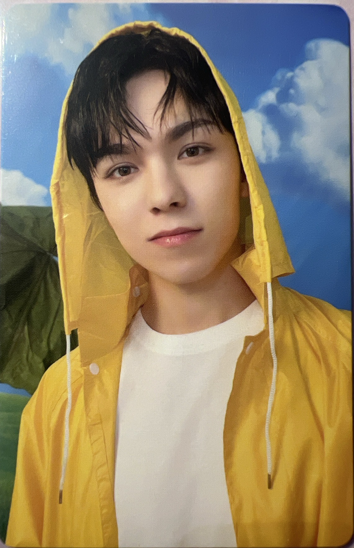 MINI11克拉盤 率-1