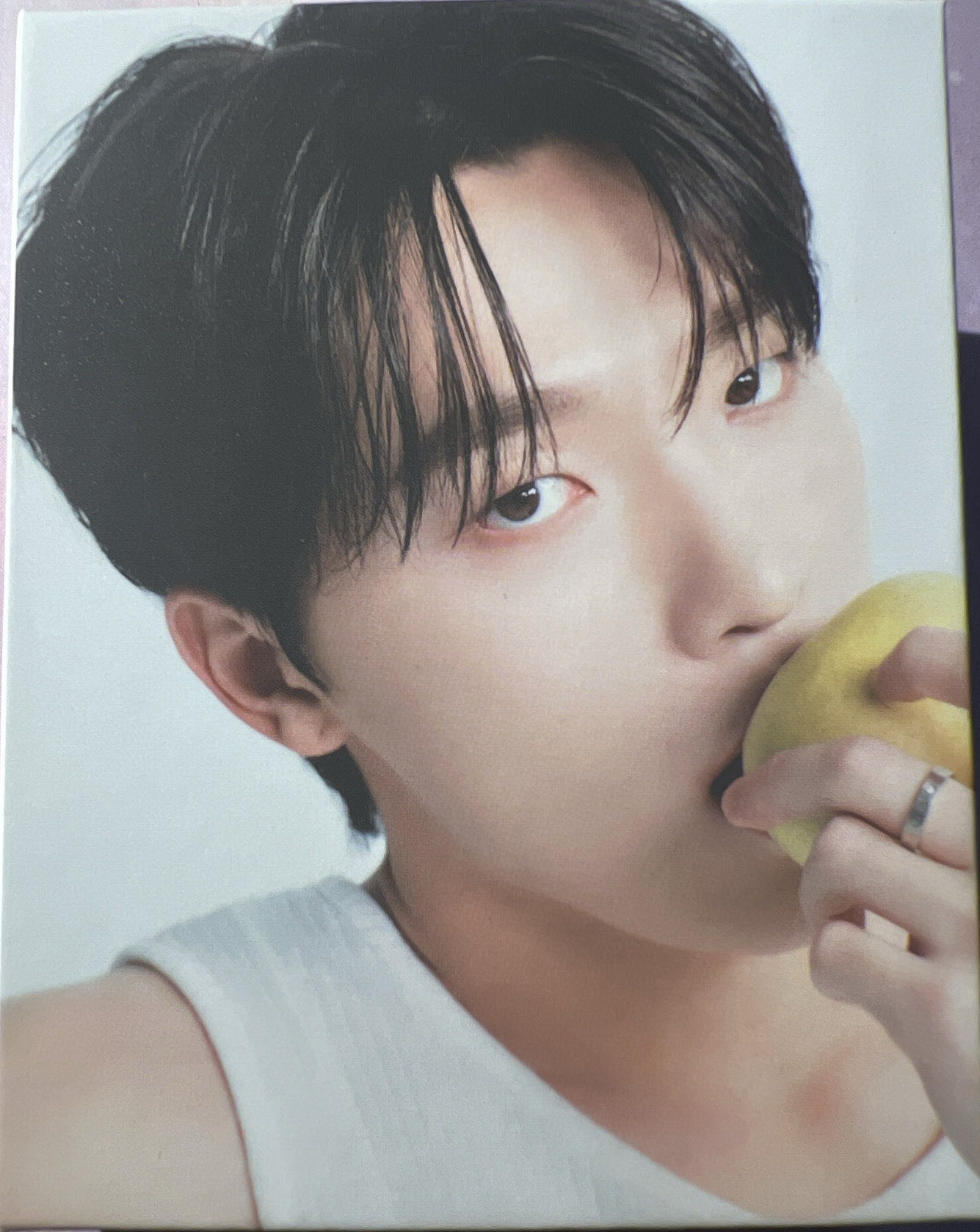 精選專克拉盤 燦(只有卡冊+固卡)